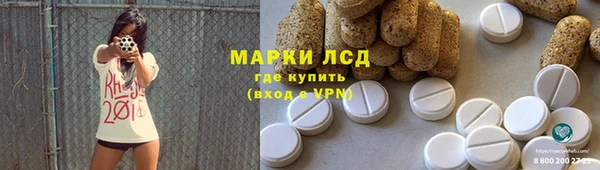 прущие грибы Гусев