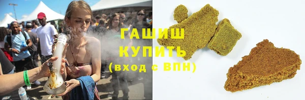 прущие грибы Гусев