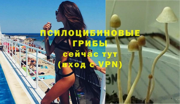 прущие грибы Гусев