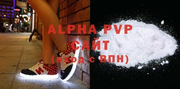 прущие грибы Гусев